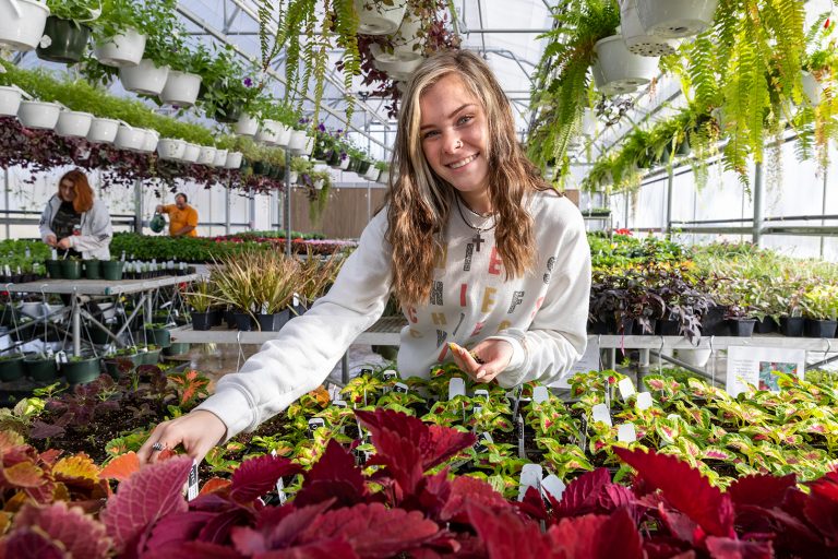 Associate of Arts in Agriculture: Plant Science