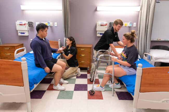 Physical Therapist Assistant Physical Therapist Assistant