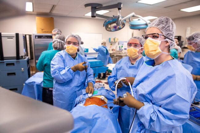 Surgical Technology Surgical Technology